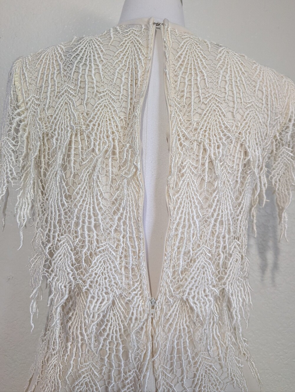 Night Way Collections Cream Lace Dress with Embroidery Fringe Details 10 Petite - Picture 5 of 10